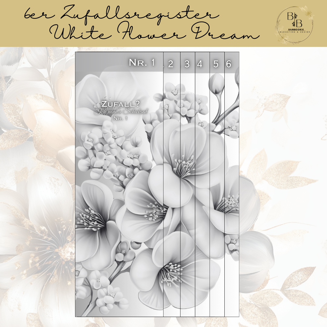 B-WARE 6er Zufallsregister